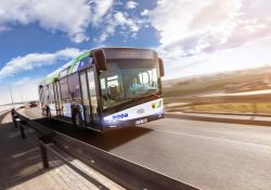 „Szkolny”  rozkład jazdy autobusów MZK