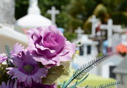 Organizacja pogrzebów – ważna informacja